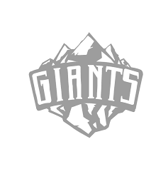 Giants For Renting Computer Systems Company W.L.L.