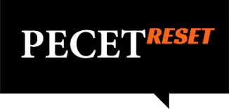 RESET LLC