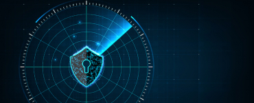 How Far Should the State Be Allowed to Go for the Purposes of Digital Security?