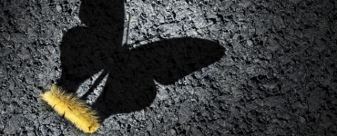 Value-Based Management Of A Company And Digital Transformation