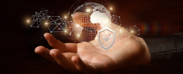 The Whois Wars
