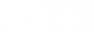 Gesellschaft für Informatik weiß