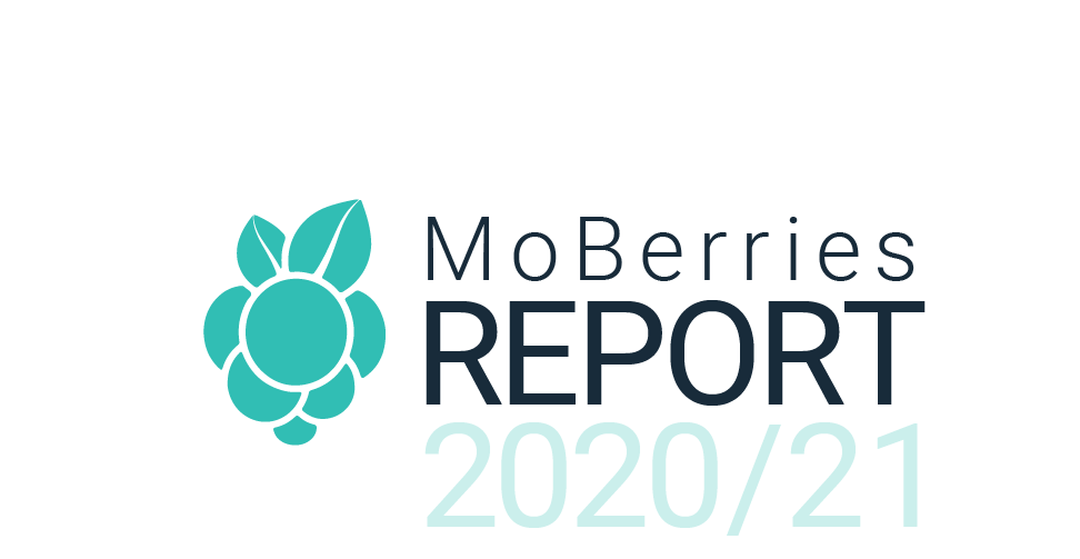 Moberries Report