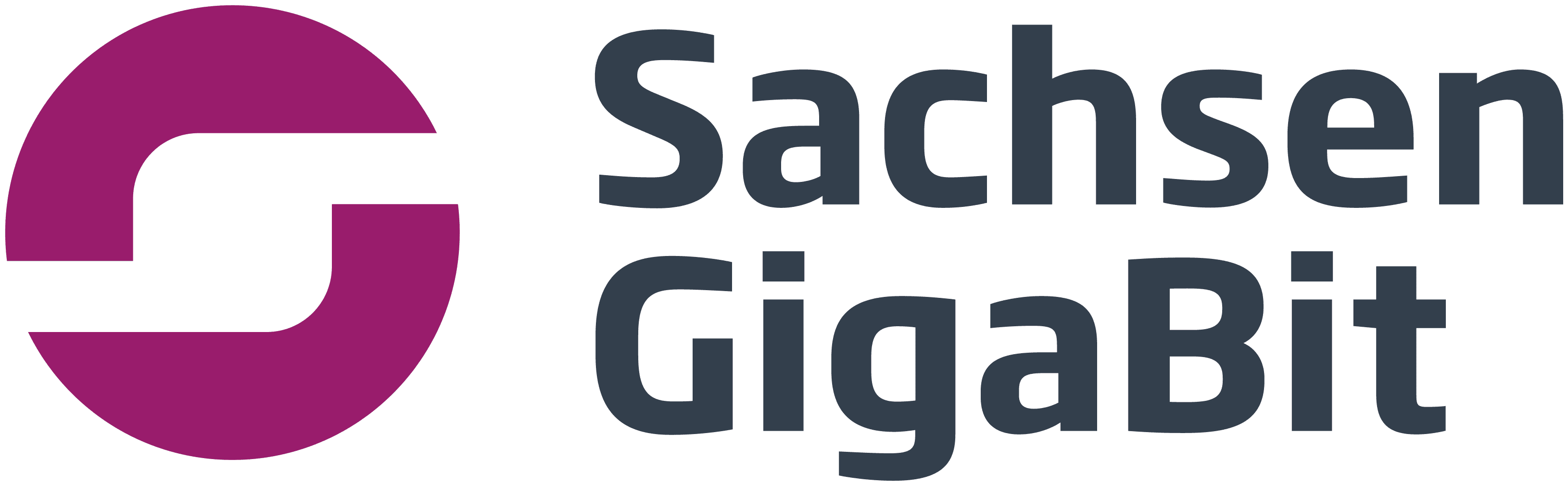 SachsenGigaBit GmbH