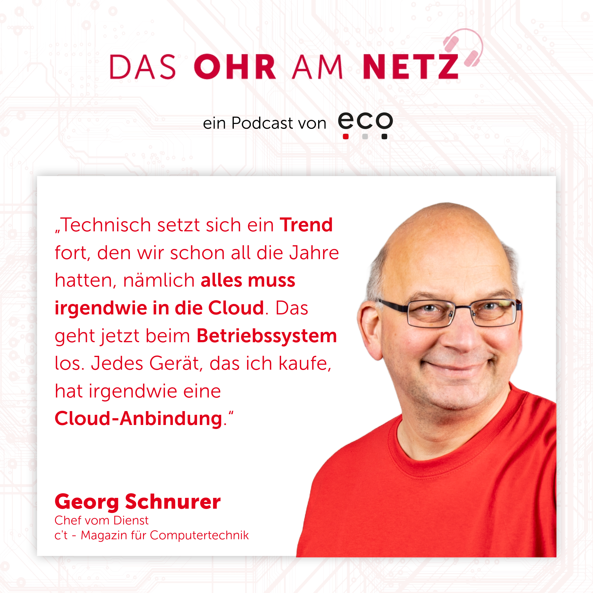 eco Podcast zur Weihnachtszeit