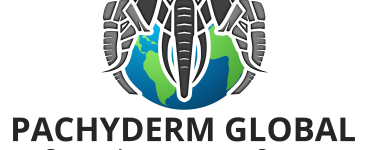 PGCIS GmbH