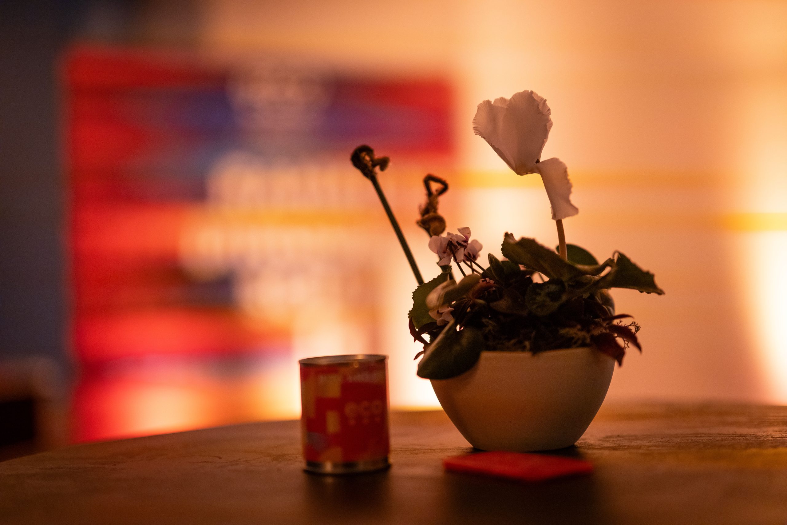 Netzpolitisches Forum 5