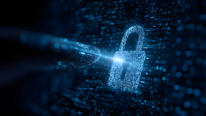 eco – Verband der Internetwirtschaft e. V. 333